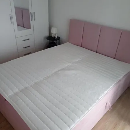 Ivo Pink Zivogosce